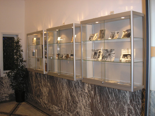 164012013.jpg Wandvitrine | 100x100x30cm