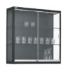 Vitrinekast | 100x100x30cm