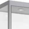 Vitrinekast | 200x50x50cm